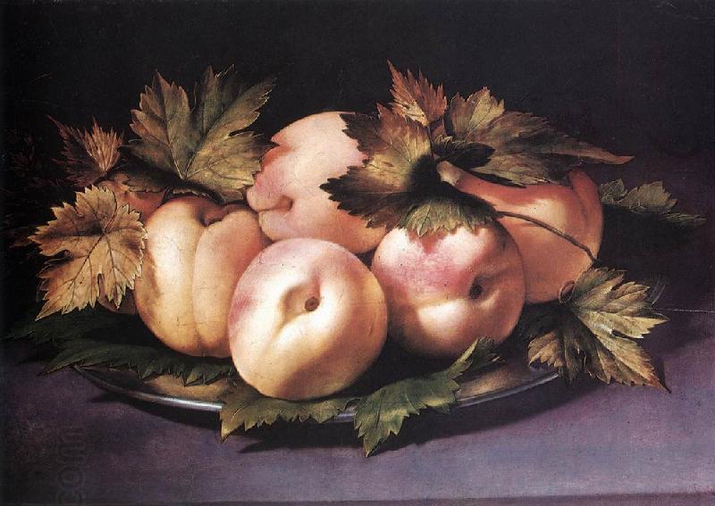 FIGINO, Giovanni Ambrogio Still-life with Peaches and Fig-leaves fdg China oil painting art